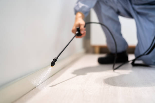 Bed Bug Pre-Treatment Preparation Assessment in Grenelefe