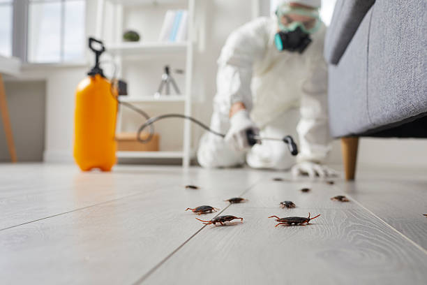 Post-Treatment Bed Bug Interceptor Monitoring in Grenelefe