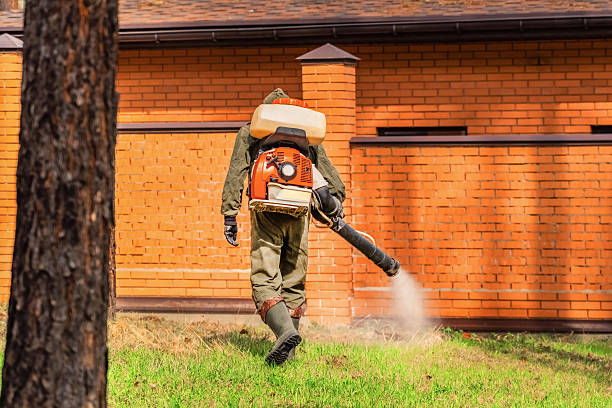 Bed Bug Clearance Verification and Documentation in Grenelefe